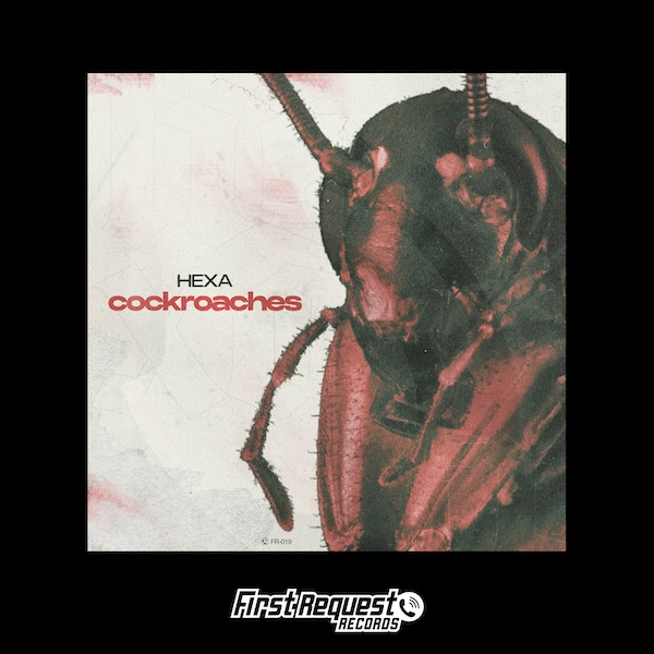 Hexa - Cockroaches